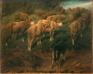 Sheep with Black Dog