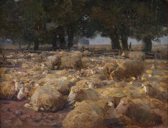Sheep Park (Heath Moor)