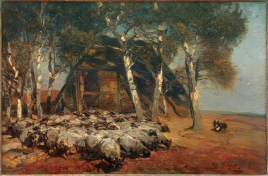 Herd of Sheep at the Koben