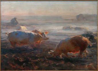 Pigs on the Stubble Field
