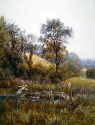 Picking Flowers by the Pond