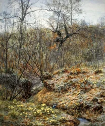 Spring Copse, Witley, Surrey