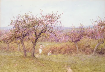Springtime in Dorset