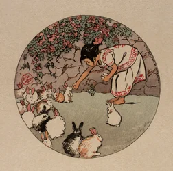 Feeding the Bunnies