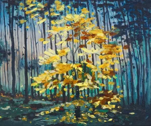 Autumn Beech