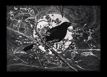 Blackbird, 2023