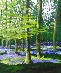 Bluebell Wood, 2009
