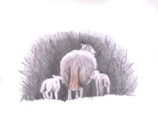 Follow, 2016