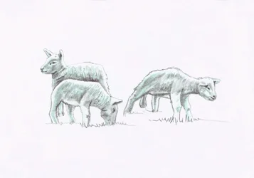 Gentle Spirit VII