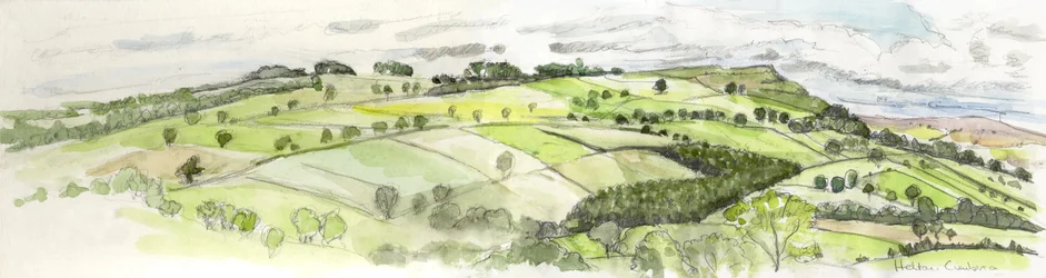 Helton Panorama, 2010