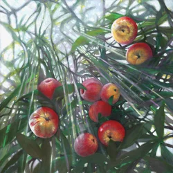 New Light on Eden, 2016