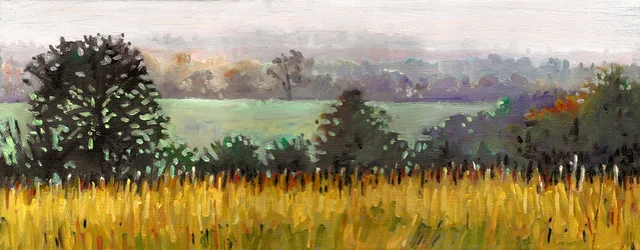 Towards Grazeley, 2012
