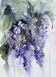 Soft Purple Wisteria