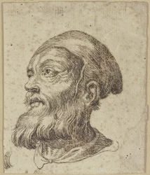 Head of an Old Man in Three-Quarter Profile Facing Left