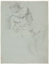 Male Model Study