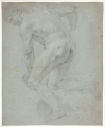 Male Model Study