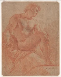 Seated Male Model