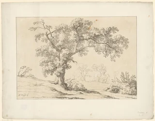 Tree in Landscape Tentamina Lithographica (series title) Italian Landscapes (series title)