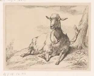 Lying Goat (Various Animals)