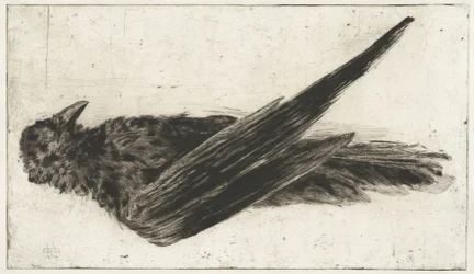 The Large Hanging Raven