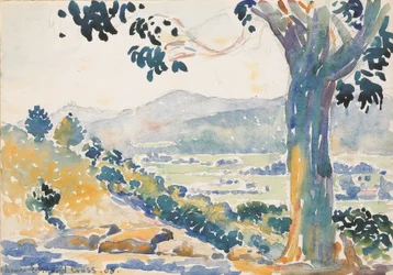 The Plain of Bormes (Morning)