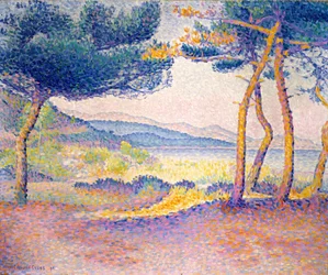 Pines Along the Shore