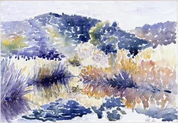Pond in the Bushes