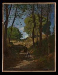 Fir Trees in Les Trembleaux, near Marlotte