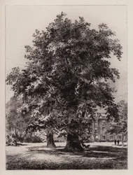 The Garden of Christ