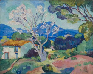 The Almond Tree in Bloom, 1907