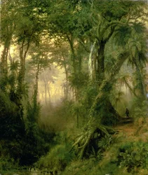 A Hunter in the Cuban Jungle, Sunrise