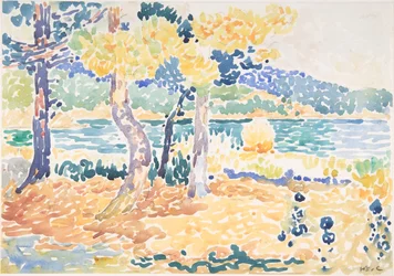 Pines on the Coastline, n.d.