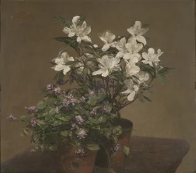 Violets and azaleas