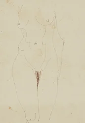 Female Nude Torso