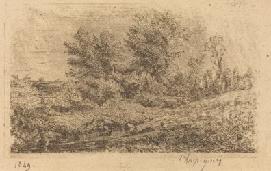 Stand of Trees on a River