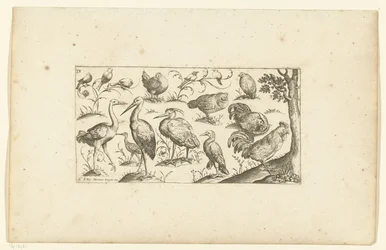 Fifteen birds (Birds series)