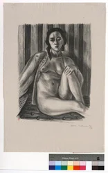 Seated Nude in a Tulle Chemise