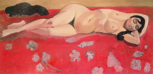 Sleeping Nude
