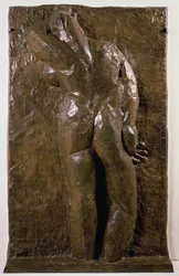 The Back I