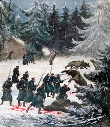 Bear attack, Russia, 1892