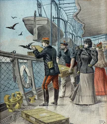 Captain Reynaud Experimenting with Carrier Pigeons Aboard the Liner La Bretagne