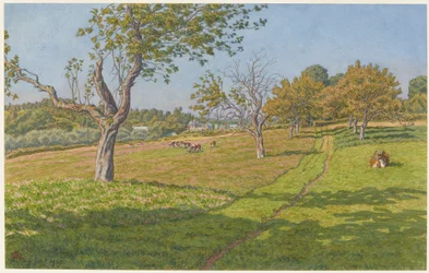 Fields at Auffay