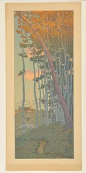 The Last Rays