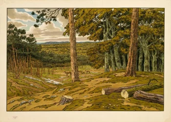 The Forest