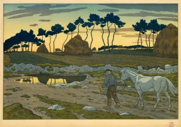 The Twilight