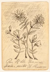 Oak Branch