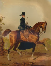 A Ladies Horse - The Property of the Late Earl of Pembroke, c. 1840s, c. 1879
