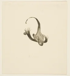 Tailpiece from Au Pied du Sinaï