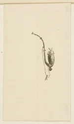 Tailpiece from Au Pied du Sinaï