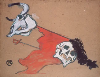 Bullfighting